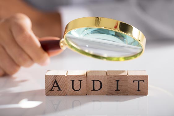 Avoid a CRA AUDIT