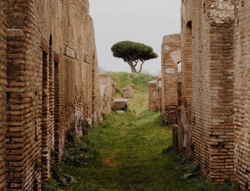 The Stoic Tax Professional: Part 2